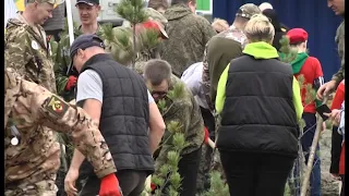 В Новоильинском районе высадили "Сад памяти"
