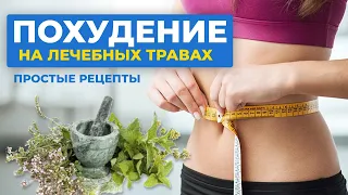 ТРАВЫ ДЛЯ ПОХУДЕНИЯ, которые помогут СНИЗИТЬ ВЕС. Простые рецепты