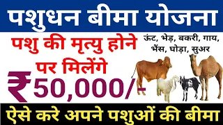 पशुधन बीमा योजना 2023 | Animal Insurance Scheme 2023 | पशुओ की मृत्यु पर 50 हजार रूपये मिलेंगे