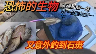 三種釣法那種比較好？意外釣到大石班，竟然還看到恐怖的生物