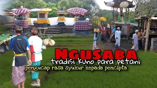 NGUSABA ANCIENT TRADITION OF FARMERS IN BALI TO THANKFUL THE NATURE AND GOD||  PART 1 Documentary