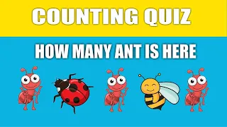 How Many? Counting Quiz - Game for Kids Numbers Kindergarten Preschoolers - Mathematics