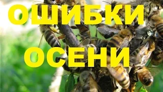 Осенние ошибки пчеловода.