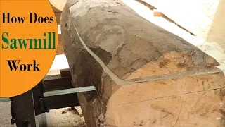 How Does A Sawmill Work | Inside A sawmill In Bangladesh |Full Sawmill Process | Fish Corn