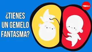 Podrías tener un gemelo secreto (pero no como piensas) - Kayla Mandel Sheets