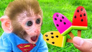 Bon Bon Monkey Eats Fruit Ice Cream With a Cute Puppy in the Park - Bon Bon Farm