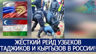 РЕЙД УЗБЕКОВ ТАДЖИКОВ КЫРГЫЗОВ В РОССИИ! ПРОВЕРКА МИГРАНТОВ!