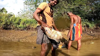 Fish Catching 🇱🇰 | Sri lankan Traditional Net Fishing | Best Fishing Video | Fishing In Sri lanka