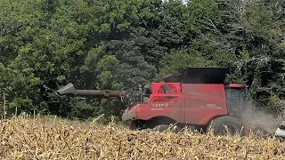 Corn harvest 23 has begun