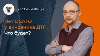 Нет ОСАГО у виновника ДТП. Что будет?