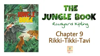 THE JUNGLE BOOK by Rudyard Kipling | Chapter 9 Rikki-Tikki-Tavi | Audiobook in English