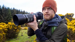 Morning Walk with the OM-1 & M.Zuiko 100-400mm f/5-6.3