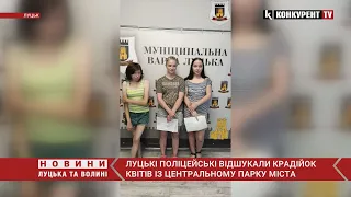 Поліцейські знайшли крадійок, які “обчистили” клумби з квітами у центральному парку Луцька