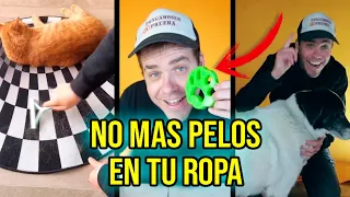 Puse a prueba 3 inventos geniales para quitar los pelos de perro y gato de la ropa