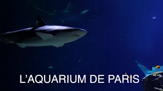 L'Aquarium de Paris en image