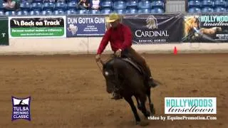 Imasonofagunner ridden by Brent Loseke  - 2015 Tulsa Reining Classic (Open Futurity)