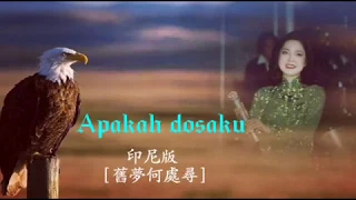 Apakah dosaku 印尼版《舊夢何處尋》 Teresa Teng / 鄧麗君