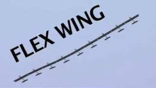 Flex Wing 9    The Wing that Flexes and Wont Break