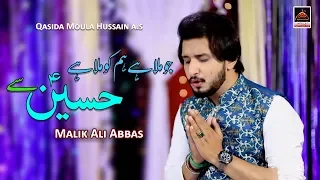 Qasida - Jo Be Mila Hain Hamko Mila Hain Hussain Say - Malik Ali Abbas - 2019