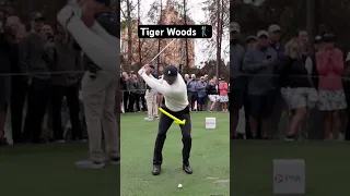 Describe Tiger’s swing in ONE word.