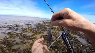 Last Minute Epic Beach Fishing