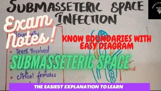 Submasseteric space infection-boundaries,clinical features,treatment -easy notes|quick explanation
