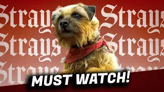 STRAYS Movie Review - This Film Is...