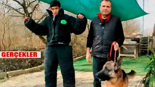 Alman Kurdu nasıl etkisiz hale getirdi?  How is the German Shepherd trained?