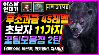 [아스달 연대기] 무소과금 45렙 초보자 필수꿀팁 11가지 2탄입니다. [거래소팁, 제단퀘, 자사팁, 희귀장비등]