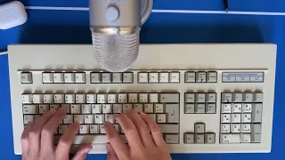 Cherry G80-1501 HAD Typing Sound Test - Mx Blacks