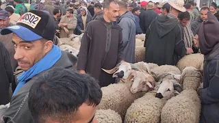 27mai 2024السوق الأسبوعي لمدينة إبن أحمد إقليم سطات #عيد الأضحى🐏🇲🇦