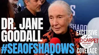 Dr. Jane Goodall interviewed at National Geographic's "Sea of Shadows" premiere