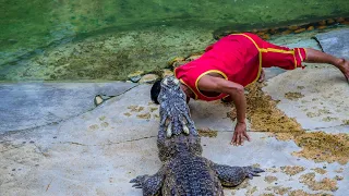 4 of The Most HORRIFYING Crocodile Attacks