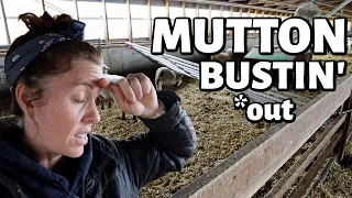 Take two.✌️ | Sheep Farming FAILS. | Vlog 444