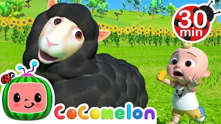 Baa Baa Black Sheep And More Nursery Rhymes | @CoComelon | Learning Videos For Kids