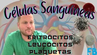 Células sanguíneas: Eritrócitos, Leucócitos e Plaquetas - Aula completa