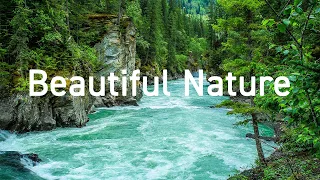 Beautiful Nature | AMAZING NATURE SCENERY on Planet Earth - The Best Relax Music | 4K