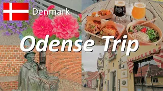 【Denmarkデンマーク】🇩🇰A trip to the city of fairy tales Odense, H.C Andersen's hometown/ Odense Trip Vlog①