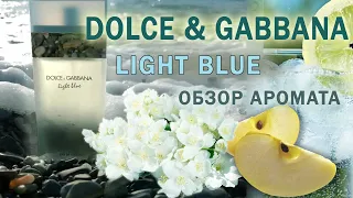 Обзор Dolce & Gabbana Light Blue