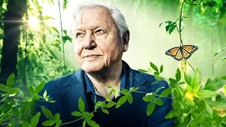 David Attenborough, The Wild Man (2016): 60 Minutes Australia