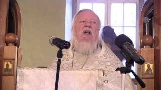 Дмитрий Смирнов Проповедь на Святое Богоявление  Крещение Господа Бога и Иисуса Христа (2014)