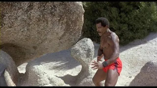 Armstrong and Jackson Beach Fight from American Ninja 2