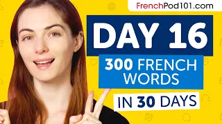 Day 16: 160/300 | Learn 300 French Words in 30 Days Challenge