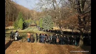 Pelerinaj la mormântul lui Arsenie Boca, Mănăstirea Prislop 2019