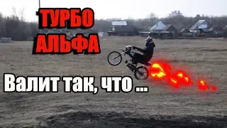 ВОССТАНОВЛЕНИЕ АЛЬФЫ - #3 КАК ОНА ЕДЕТ!? СТАНТ.