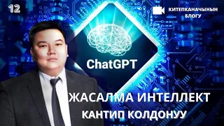 Тарыхый рекорд коюп жаткан ChatGPTни (жасалма интеллект) кантип колдонуу тууралуу атайын чыгарылыш