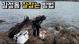 감성돔낚시 어렵지 않아요! 초보분들을 위한 영상 입니다