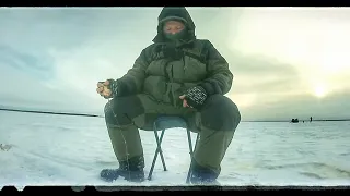 Зимняя рыбалка 2022. Ловим окуня на блесну.