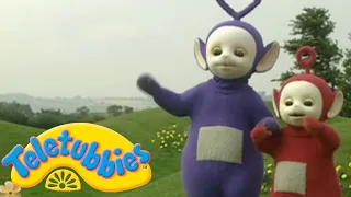 Teletubbies | Lets Go See Some Owl Babies | Shows for Kids