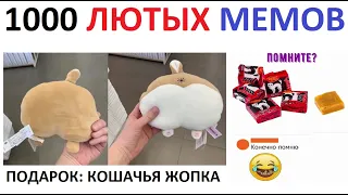 1000 мемов. МЕГАПОДБОРКА от Макса Максимова